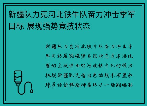 新疆队力克河北铁牛队奋力冲击季军目标 展现强势竞技状态