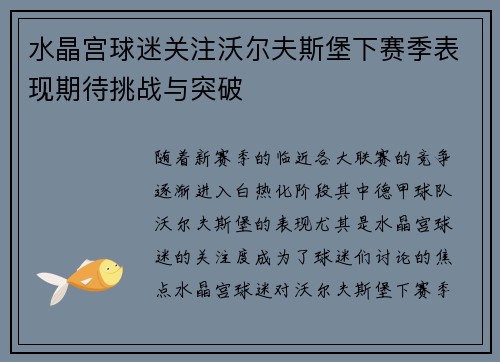 水晶宫球迷关注沃尔夫斯堡下赛季表现期待挑战与突破